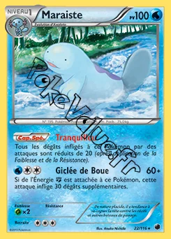 Carte Pokémon Maraïste n°22 de la série Glaciation Plasma