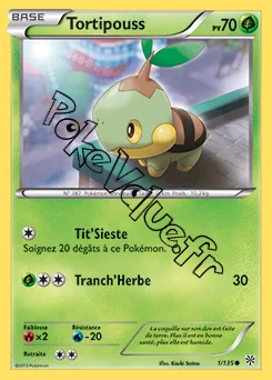 Carte Pokémon Tortipouss n°1 de la série Tempête Plasma