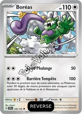 Carte Pokémon Boréas  Reverse n°120 de la série Couronne Stellaire