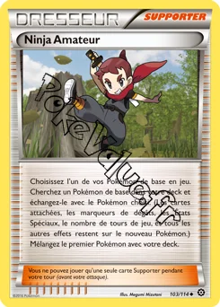 Carte Pokémon Ninja Amateur n°103 de la série Offensive Vapeur