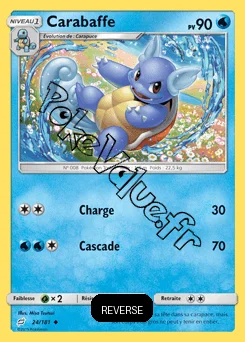 Carte Pokémon Carabaffe Reverse n°24 de la série Duo de Choc