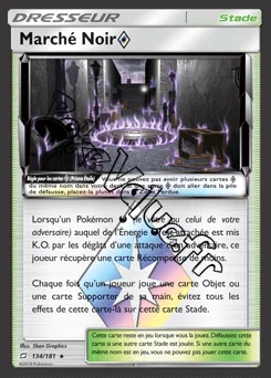 Carte Pokémon Marché Noir n°134 de la série Duo de Choc
