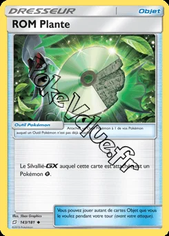 Carte Pokémon ROM Plante n°143 de la série Duo de Choc