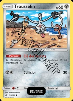 Carte Pokémon Trousselin Reverse n°110 de la série Duo de Choc