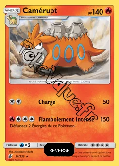 Carte Pokémon Camérupt Reverse n°24 de la série Harmonie des Esprits
