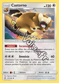 Carte Pokémon Castorno n°172 de la série Harmonie des Esprits