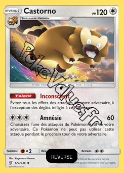 Carte Pokémon Castorno Reverse n°172 de la série Harmonie des Esprits