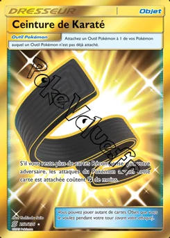 Carte Pokémon Ceinture de Karaté n°252 de la série Harmonie des Esprits