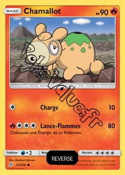 Carte Pokémon Chamallot Reverse n°23 de la série Harmonie des Esprits
