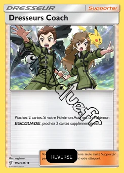 Carte Pokémon Dresseurs Coach Reverse n°192 de la série Harmonie des Esprits