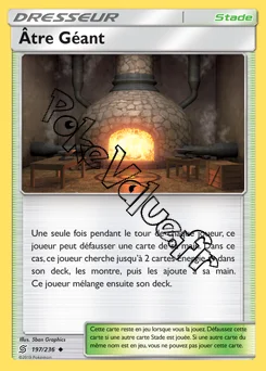 Carte Pokémon Être Géant n°197 de la série Harmonie des Esprits