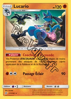 Carte Pokémon Lucario  n°117 de la série Harmonie des Esprits