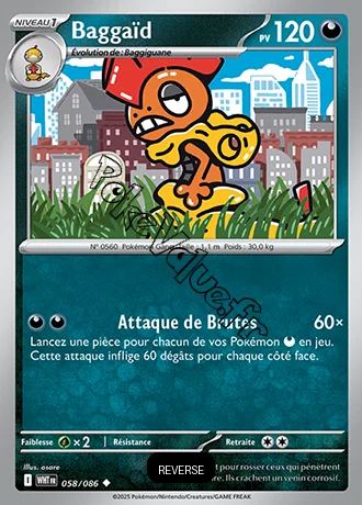 Carte Pokémon Baggaïd Reverse n°58 de la série Flamme Blanche