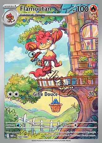 Carte Pokémon Flamoutan  n°100 de la série Flamme Blanche