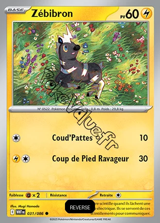 Carte Pokémon Zébibron Reverse n°31 de la série Flamme Blanche