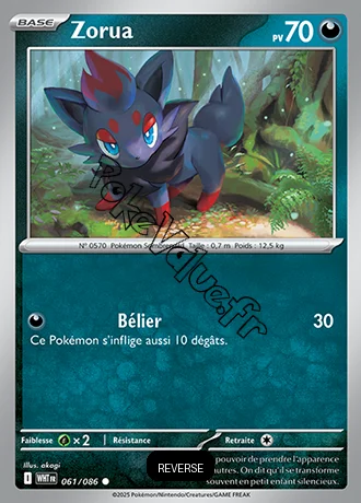 Carte Pokémon Zorua Reverse n°61 de la série Flamme Blanche